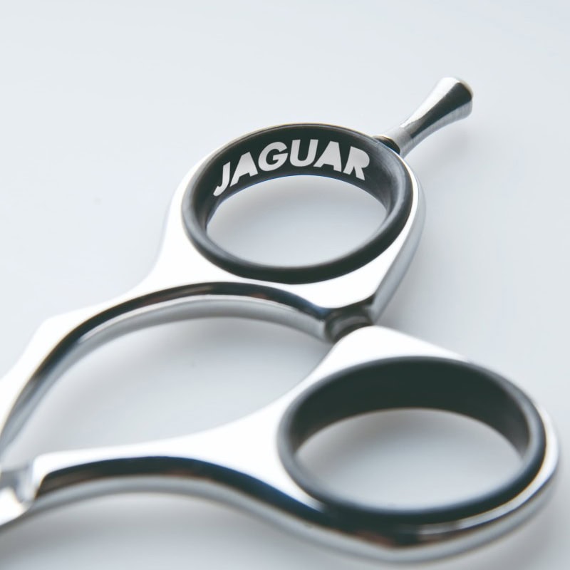 Jaguar Silver Line CJ4 Plus Offset - Image 4