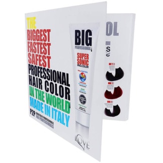 BIG Professional Color Chart