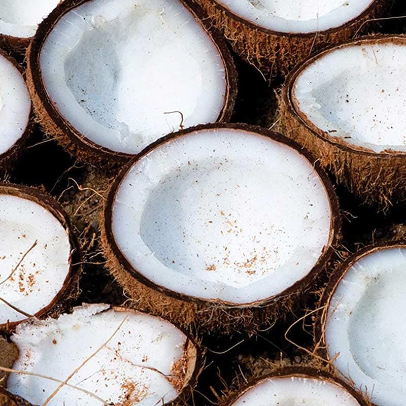 Be Care Love SuperFoods Moisture Therapy Shampoo, 355ml - Image 2