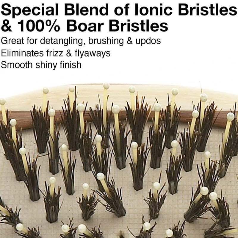 Olivia Garden Healthy Hair Bamboo Paddle & Cushion Brush Display: 12 Brushes & Stand - Image 3