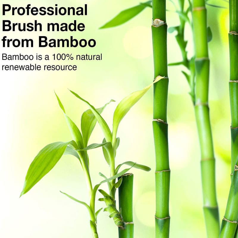 Olivia Garden EcoHair Thermal Bamboo Radial Brush Collection - Image 4