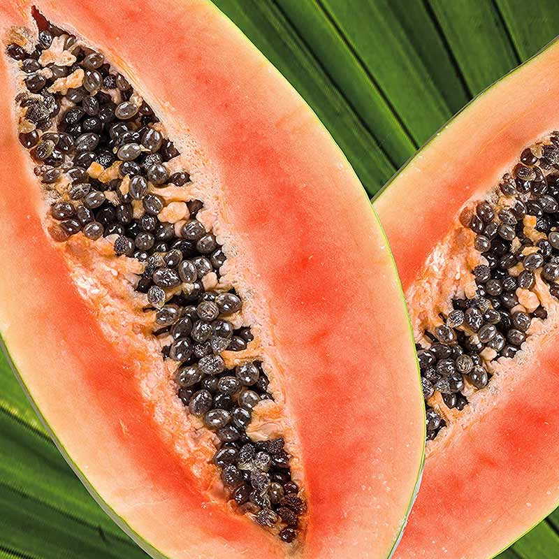 Be Care Love SuperFoods Frizz Control Conditioner, 355ml - Image 4