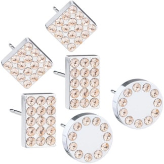 Blomdahl Silver Titanium Earrings - Golden Rose