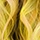 Solar Yellow