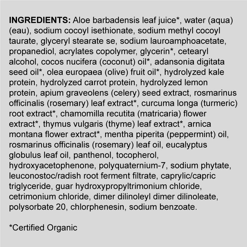 LOMA Essentials Moisturizing Shampoo & Body Wash with Healthy Scalp Complex, 355ml - Image 6